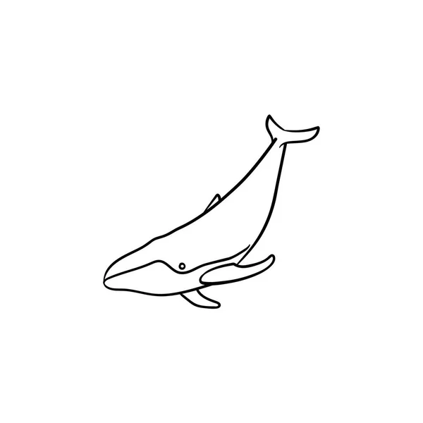Baleine dessin à la main icône croquis . — Image vectorielle