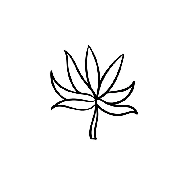 Hoja de planta dibujo dibujado a mano icono . — Archivo Imágenes Vectoriales