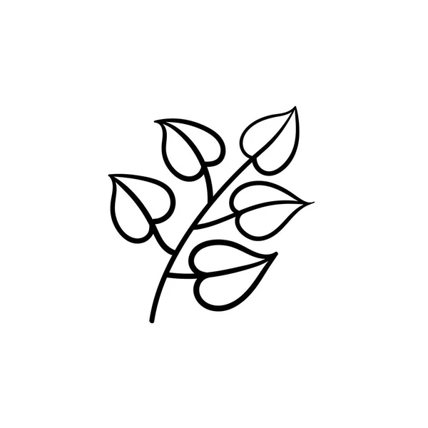 Linden listy na větev ručně tažené skica ikony. — Stockový vektor