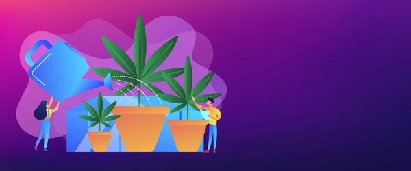 Cabecera del banner de concepto de cultivo de cannabis . — Vector de stock