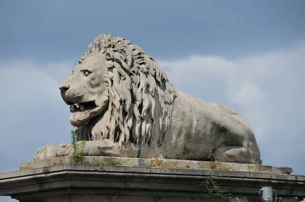 Zincir köprü Budapeşte