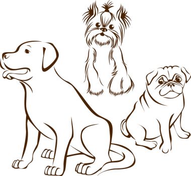 Bir çift köpek çiftleşir.