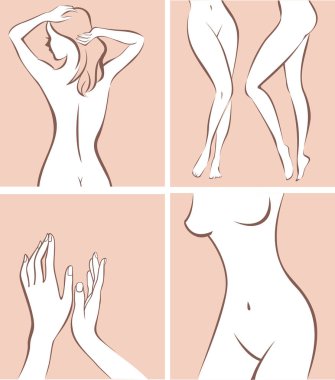 stylized female body parts outline drawing vector illustration clipart