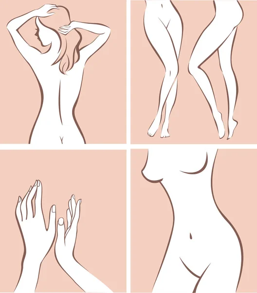 Estilizado Cuerpo Femenino Partes Contorno Dibujo Vector Ilustración — Vector de stock