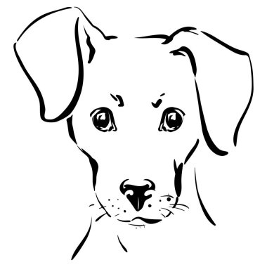 bir köpek ağızlık 