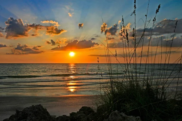 Sonnenuntergang über dem Ozean — Stockfoto