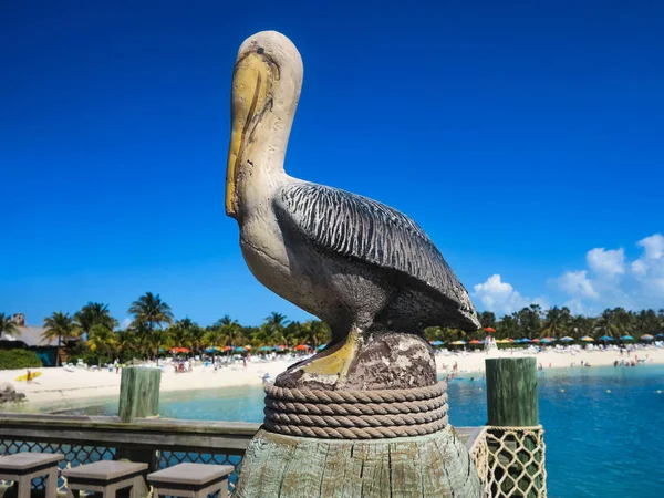 En Pelikan resning — Stockfoto