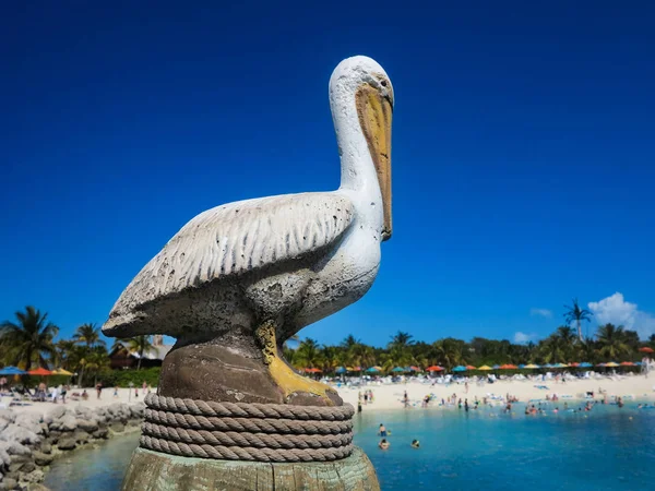 Eine Pelikanstatue — Stockfoto