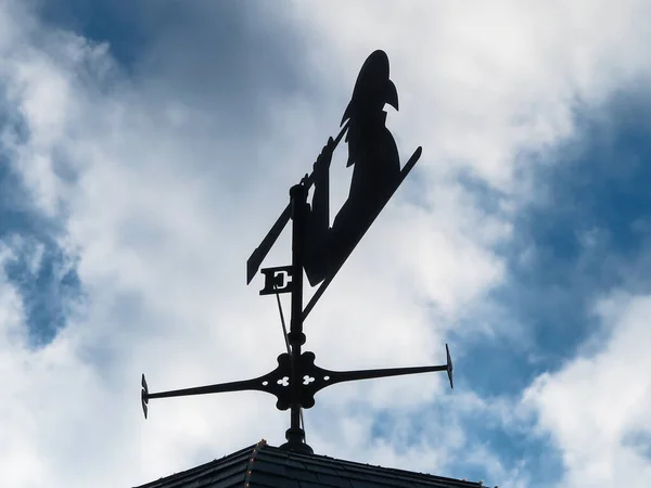 Eine Wetterfahne Mit Person Die Durch Ein Teleskop Blickt — Stockfoto