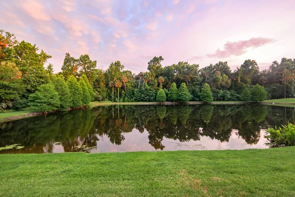 日没時の湖の木々の反射 — ストック写真