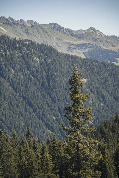 Blick auf die Hochalpen bei Sterzing (Bozen, Italien)) — Stockfoto