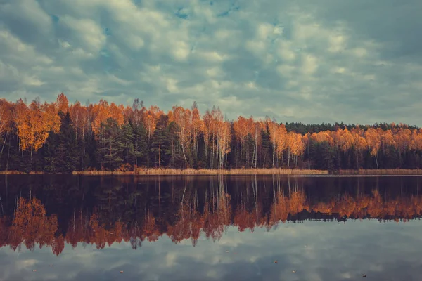 Autumn forest with yellow trees and lake, cloudy sky. — Stock Photo, Image