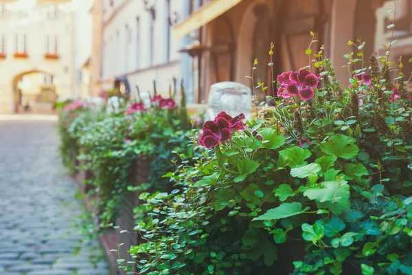 Açık hava kafe detayını. Riga, Letonya — Stok fotoğraf