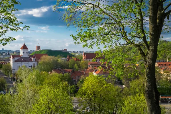 Vista panoramica della città vecchia di Vilnius, Lituania . — Foto Stock