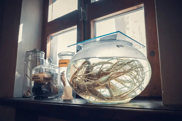 Kaunas, Lituania - 12 de mayo de 2017: medicamentos retro, poción e infusión en el alféizar de la ventana en el Museo de Historia de la Medicina y Farmacia. Kaunas, Lituania . — Foto de Stock