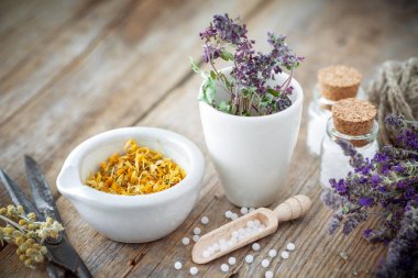 Harç ve kurutulmuş şifalı otlar, şişe homeopatik globülleri, makas ve kaşık kase. Homeopati tıp kavramı.