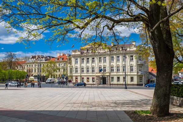Vilnius, Litauen - 09. Mai 2017: Domplatz im Frühling, Vilnius, Litauen. — Stockfoto