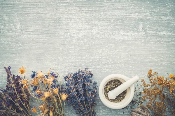 Mazzi di erbe curative e malta su tavola di legno grigio. Erboristeria. Vista dall'alto, posizione piatta. Copia spazio per testo . — Foto Stock