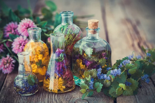 Flessen van tinctuur of infusie van gezonde kruiden, genezende kruiden op tafel. Kruidengeneeskunde. — Stockfoto