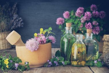 Tentür veya sağlıklı otlar, tablo üzerinde otlar şifa infüzyonu şişe. Bitkisel ilaç.