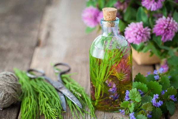 Bottles of tincture or infusion of healthy herbs, scissors, healing herbs on wooden board. Herbal medicine concept — Stock Photo, Image