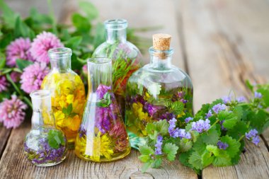 Şişe ve tentür tüpleri veya şifalı otlar, şifalı otlar rustik ahşap tahta üzerinde infüzyonu. Bitkisel Tıp kavramı.