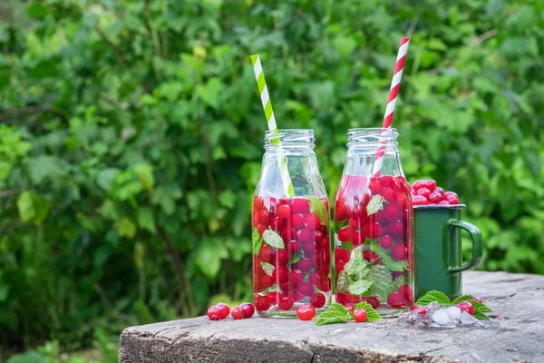 Bevande fredde con paglia - cocktail rinfrescante estivo di mirtilli rossi — Foto Stock