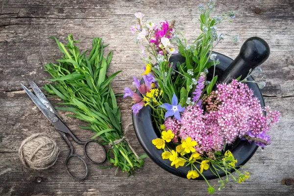 Bunch of healing herbs, mortar and pestle, vintage scissors on board. Herbal medicine. Top view, flat lay. — Stock Photo, Image