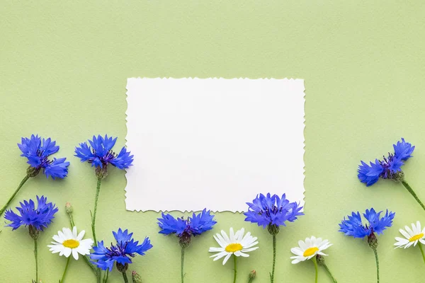 老空照片里面和夏天蓝色矢车菊和雏菊花在绿色背景上的框架。平躺，顶视图. — 图库照片