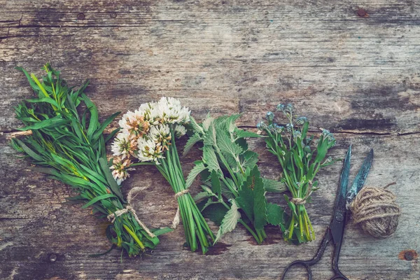 Bunches of healing herbs, old scissors on board. Herbal medicine. Top view, flat lay. — Stock Photo, Image