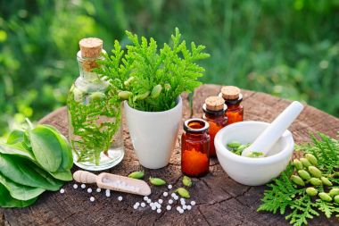 Homeopatik globülleri, Mazı occidentalis, dar büyük uyuşturucu ve harç şişe. Homeopati tıp.