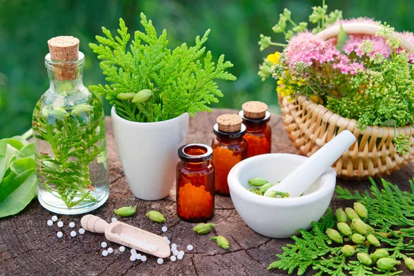 Flaskor av homeopatiska globuler. Thuja, groblad, friska infusion, murbruk och korg av örter. Homeopati medicin. — Stockfoto