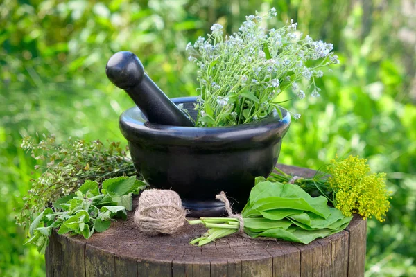 Bunches of healing herbs, mortar and pestle on stump outside. Herbal medicine. — Stock Photo, Image