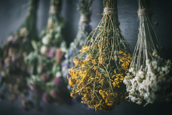 Pendurado cachos de ervas medicinais e flores, foco na flor de hipericum erva St. Johns. Medicina herbácea. Retro tonificado . — Fotografia de Stock