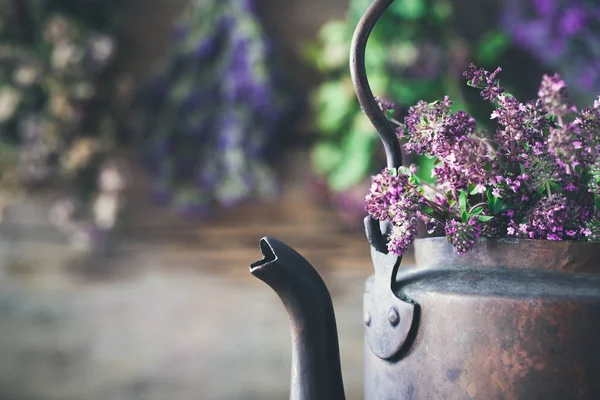 Tetera rústica vintage llena de flores de tomillo para un té de hierbas saludable. Colgando plantas medicinales en el fondo. Medicina herbal . — Foto de Stock