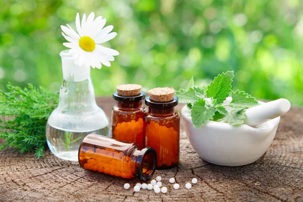 Flaskor av homeopatiska globuler, murbruk med mynta blad, daisy blomman i kolven och enbär gäng. Homeopati medicin koncept. — Stockfoto