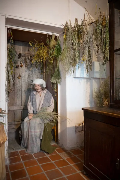 Kaunas, Lithuania - May 12, 2017:  Mannequin of senior herbalist woman in Museum of the History of Medicine and Pharmacy. Kaunas, Lithuania. — Stock Photo, Image