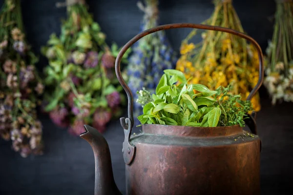 Bouilloire rustique vintage pleine d'herbes saines. Suspendre des plantes médicinales sur fond. Médecine végétale . — Photo