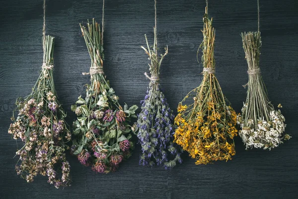 挂串的药用植物和鲜花。中药. — 图库照片