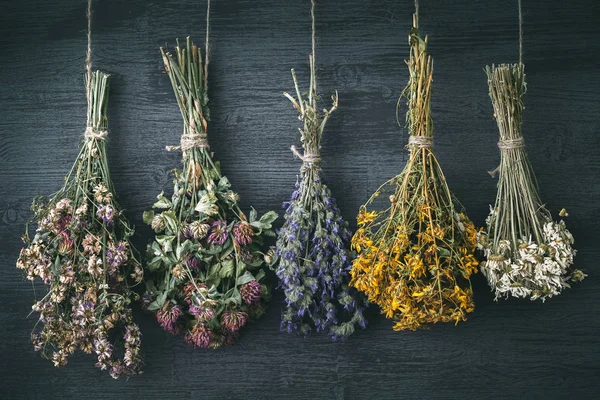 Hängebüschel mit Heilkräutern und Blumen. pflanzliche Medizin. — Stockfoto