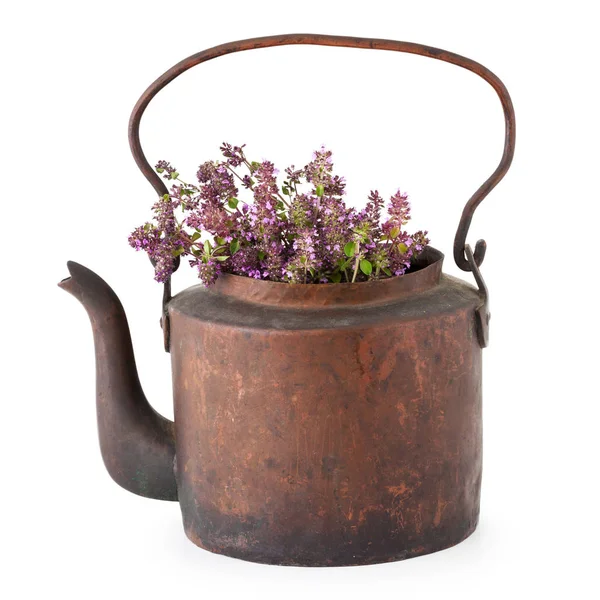 Bollitore da tè rustico vintage pieno di fiori di timo su sfondo bianco. Medicina vegetale . — Foto Stock