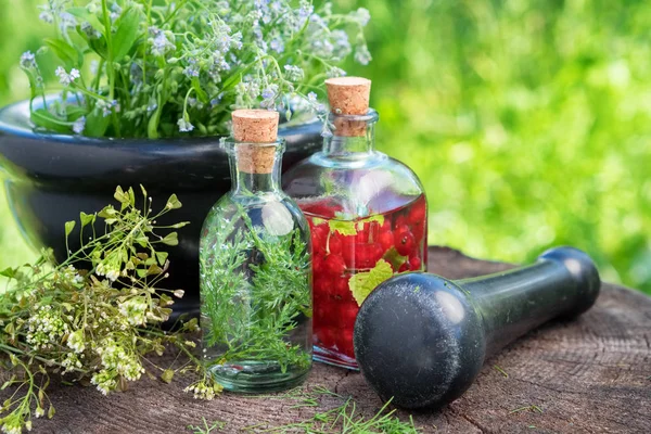 Mortar of healing herbs, bottles of herbal tincture, healthy infusion and medicinal plants. Herbal medicine. — Stock Photo, Image