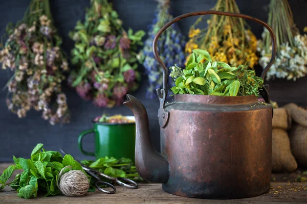 Vintage copper tea kettle, medicinal plants for healthy herbal tea and hanging healing herbs. Herbal medicine — Stock Photo, Image