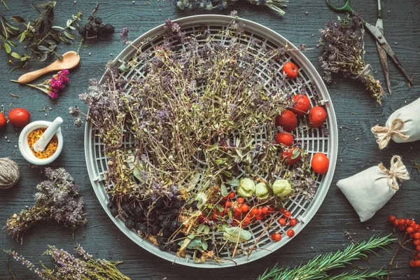 Secado de flores de tomillo y bayas sanas en bandeja de deshidratante de hierbas, hierbas medicinales, mortero y sobre la mesa. Vista superior, plano . —  Fotos de Stock