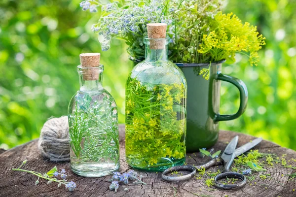 Lahví tinktury nebo infuze léčivé byliny, léčivé byliny v zeleném smaltovaných hrnek na starý pařez venku. Bylinná medicína — Stock fotografie