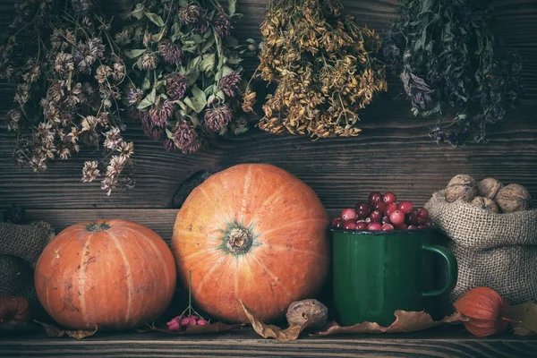 Autumn harvest still life: pumpkins, cranberries, walnuts and hanging bunches of healing herbs. Retro toned. — Stockfoto