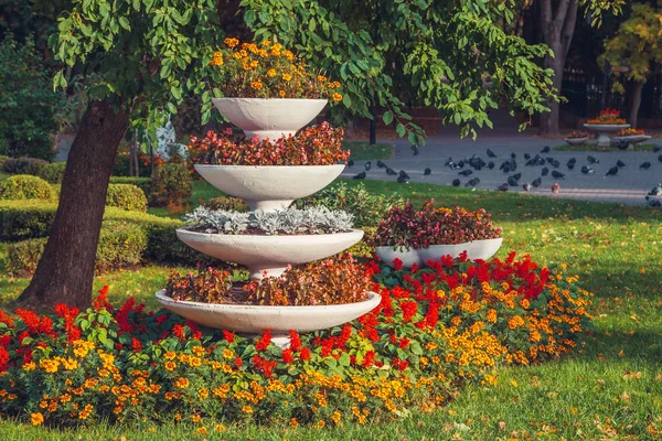 Schönes Blumenbeet im Sommerpark. — Stockfoto