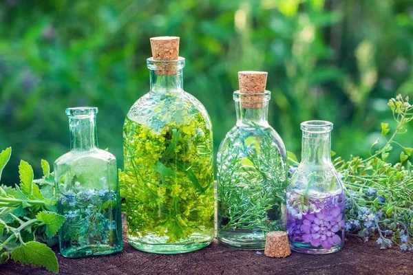 Bottiglie di infuso di erbe e erbe curative all'aperto. Medicina vegetale . — Foto Stock
