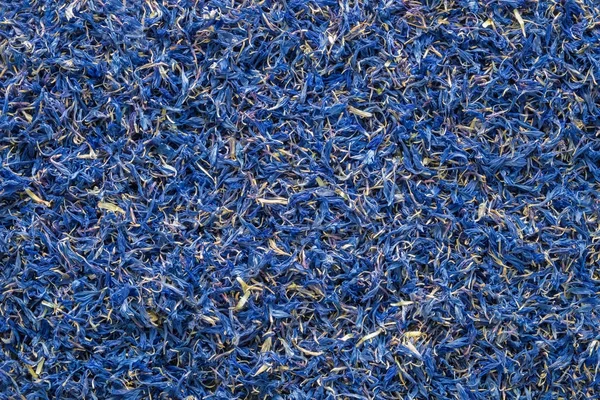 Тло сухих квітів, сушених синіх волошок. Вид зверху . — стокове фото