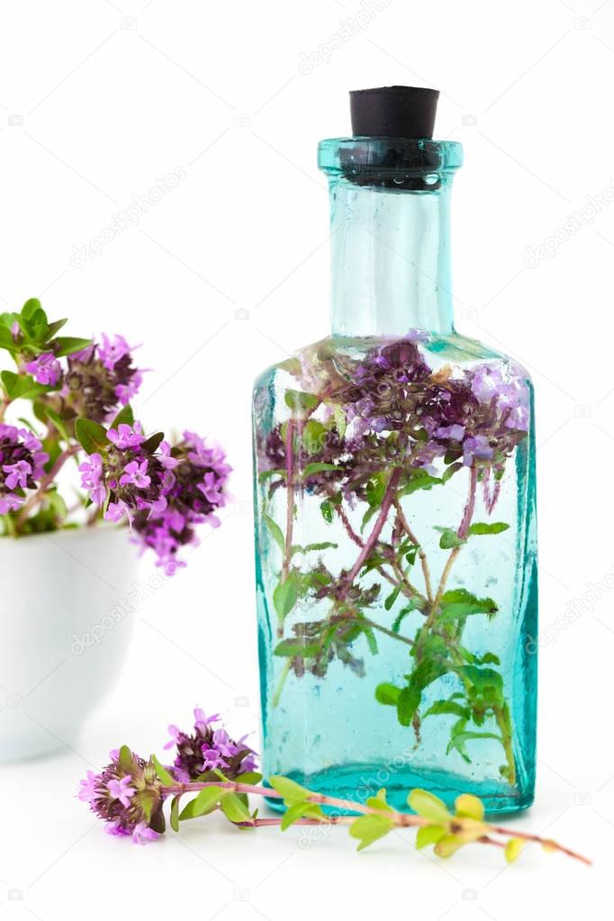 Vintage bottle of thyme infusion and mortar full of thymus serpyllum flowers on white background. Herbal medicine.